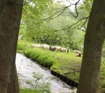 Onderhoud en beheer 2012 in het MarkeMallem gebied